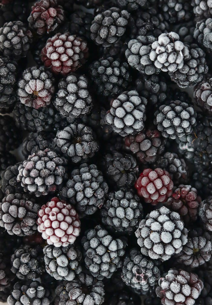 Close up of Frozen Blackberries